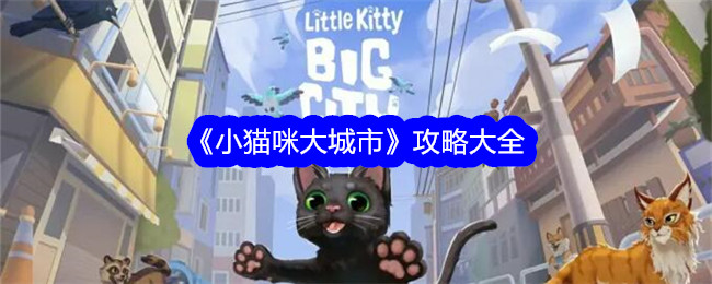 小猫咪城市攻略：完整指南