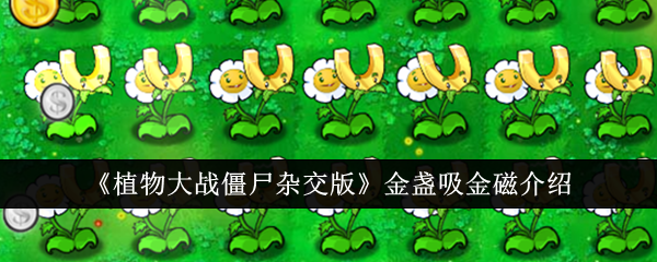 植物大战僵尸杂交版：金盏花攻略