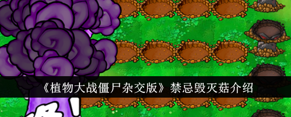 植物大战僵尸杂交版：禁忌毁灭菇攻略