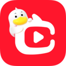 点淘软件免费版