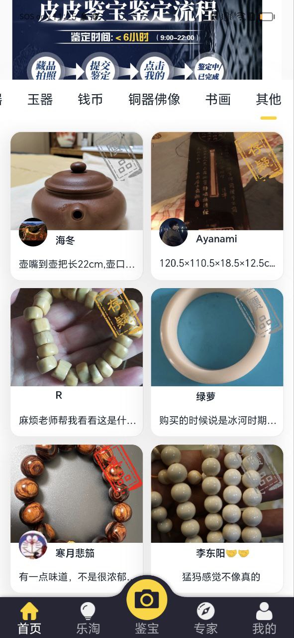 皮皮鉴宝app网页