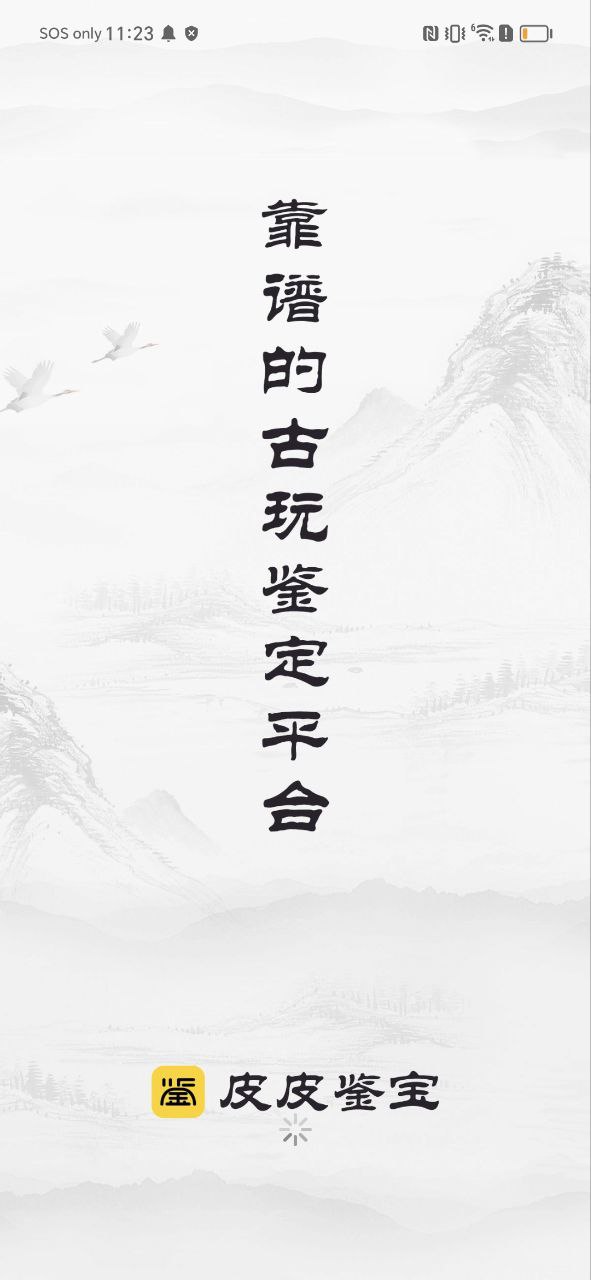 皮皮鉴宝纯净版免费
