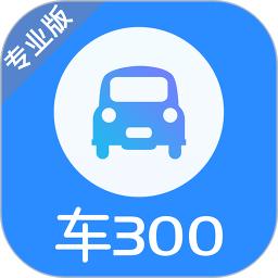 车300专业版