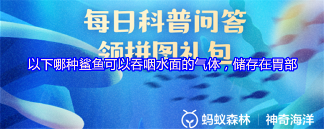《支付宝》能够吞咽水面气体并储存在胃部的鲨鱼种类分析