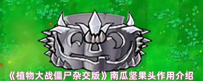 《植物大战僵尸杂交版》钢果南瓜头的功能详解