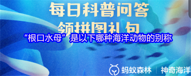《支付宝》