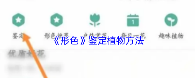 《形色》植物鉴定技巧大全
