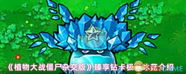 《植物大战僵尸杂交版》极寒冰菇的臻享钻卡详解