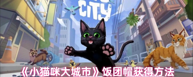 《小猫咪大城市》饭团帽的获取攻略