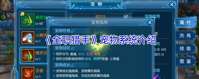 《全职猎手》宠物系统详解与玩法指南