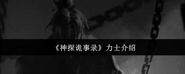 《神探诡事录》力士的全面解析与特点探讨