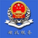 湖北税务应用