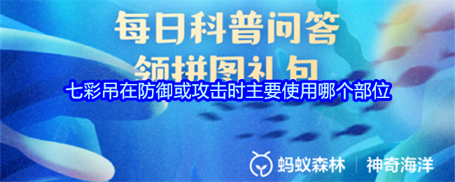 《支付宝》七彩吊在防守与进攻时最优先选择的部位分析