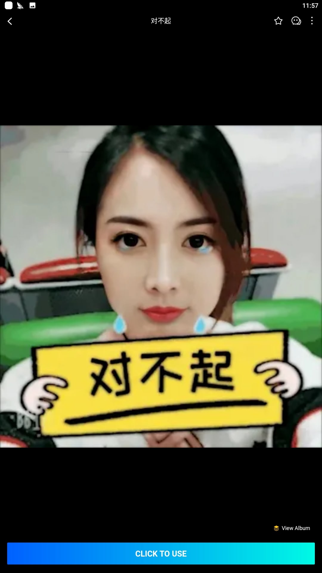 秀脸应用