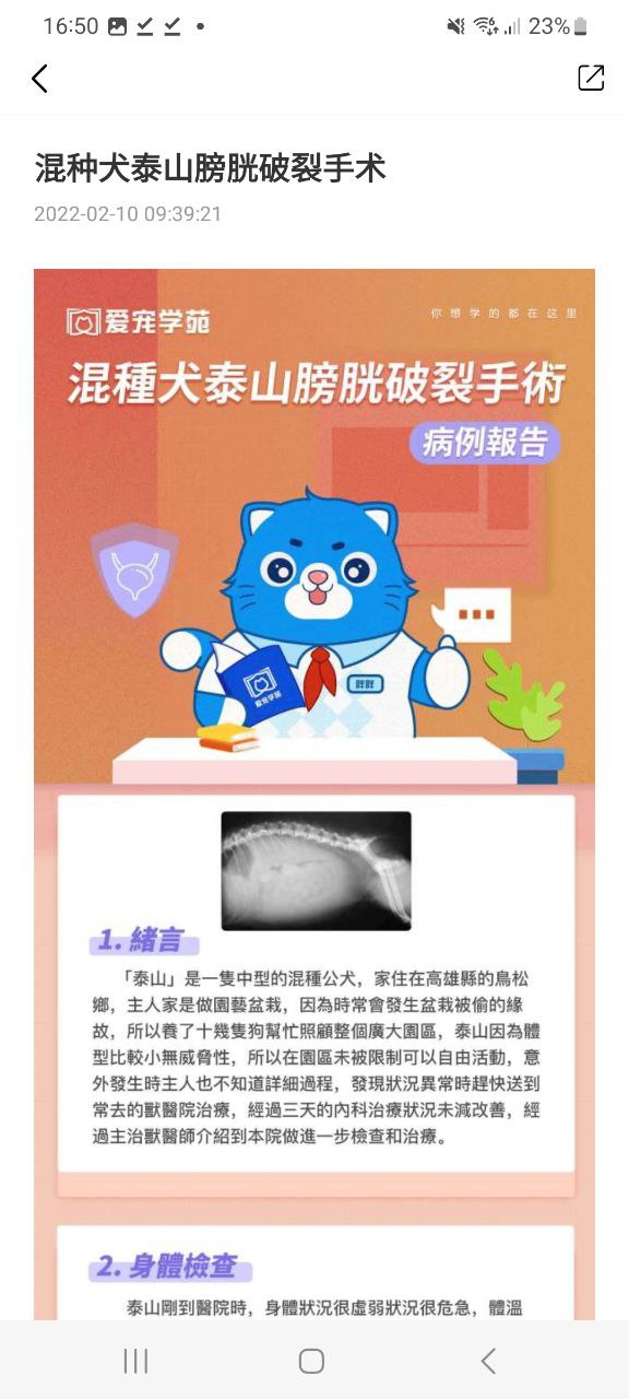 爱宠采购最新