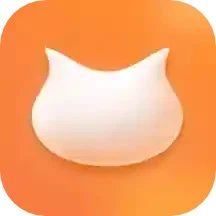 飞猫盘软件