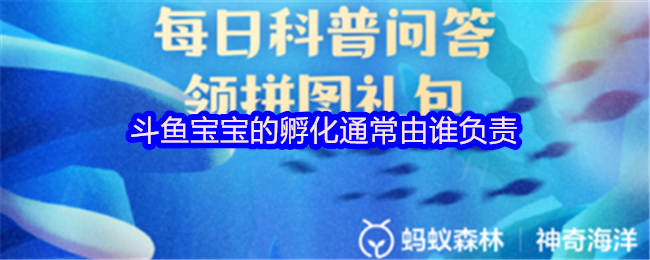 《支付宝》斗鱼宝宝孵化的责任分配解析