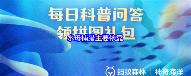《支付宝》水母捕猎的关键技巧解析